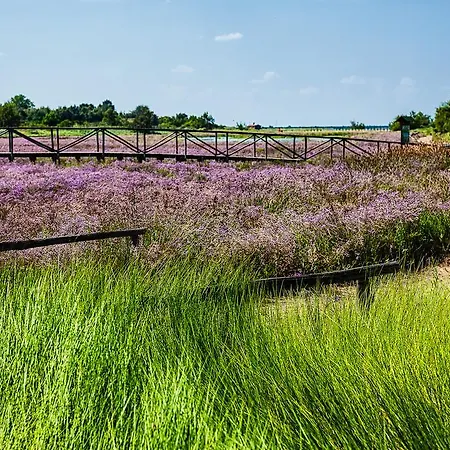 Апартаменты Capri Розолина-Маре