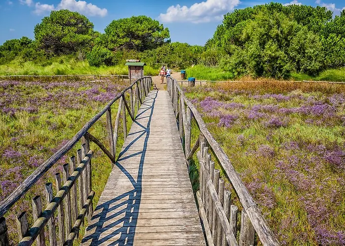 卡普里公寓 公寓 *