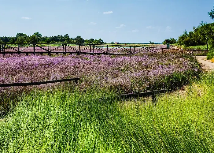 公寓 卡普里公寓 罗索利纳马雷